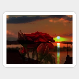 Romantic landscape with red roses over Danube sunset in water reflection Sticker